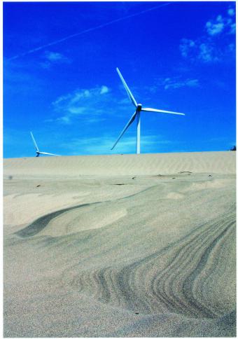 御前崎市　揚張　敏昭