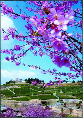 菊川市　尾崎　行雄