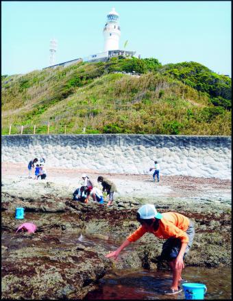 静岡市　白鳥　松平