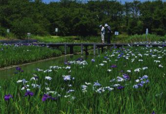 浜松市　牧野　光伸