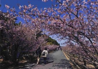 浜松市　牧野　光伸