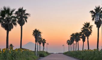 御前崎市　増田信夫